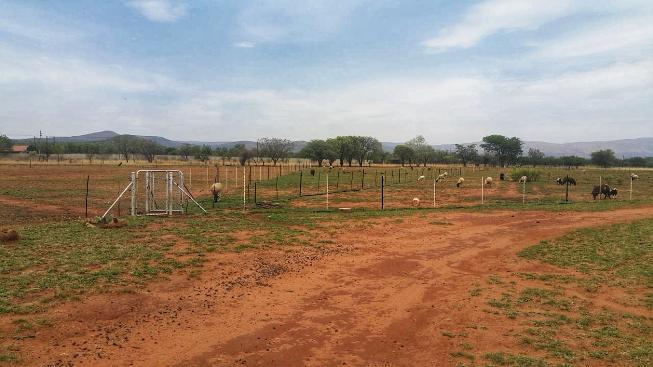 11 Bedroom Property for Sale in Rustenburg North West